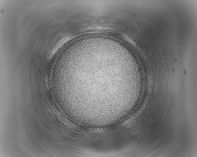 X0000052581259200507221534