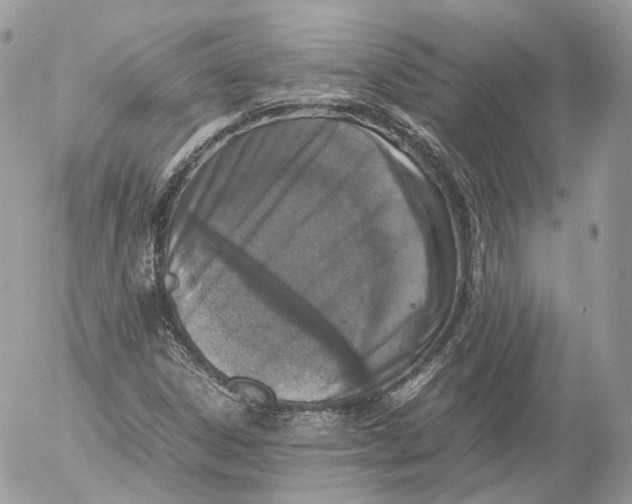 X0000052581306200507221533
