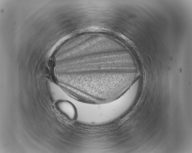 X0000052581314200507221533