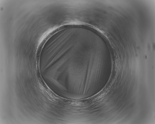 X0000052581319200507221533