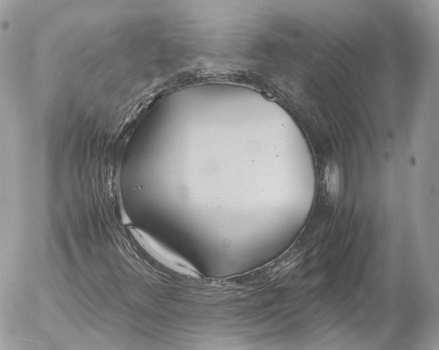X0000052581348200507221533