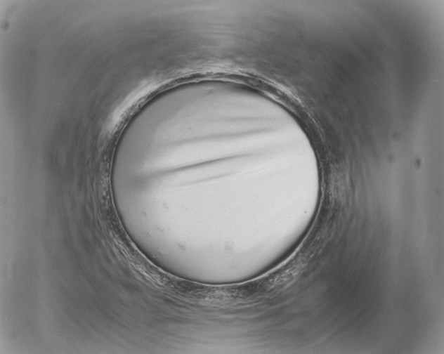X0000052581359200507221532