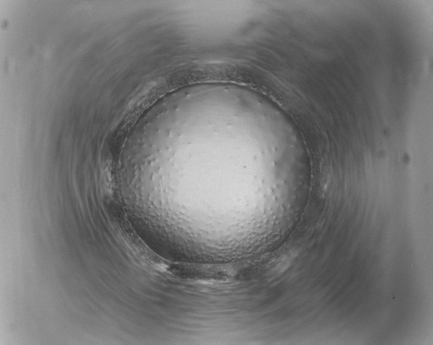 X0000052581394200507221531