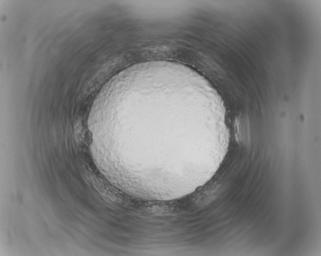 X0000052581395200507221531