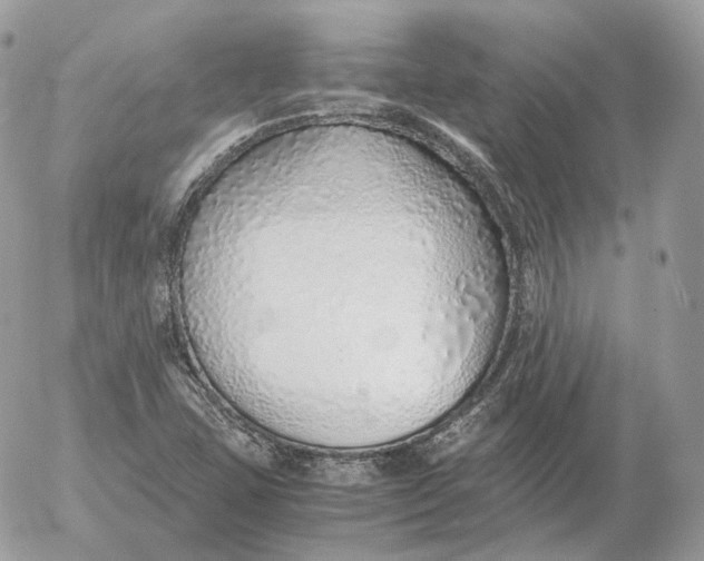 X0000052581407200507221531