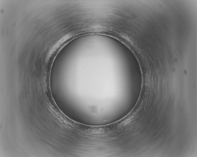 X0000052581410200507221531