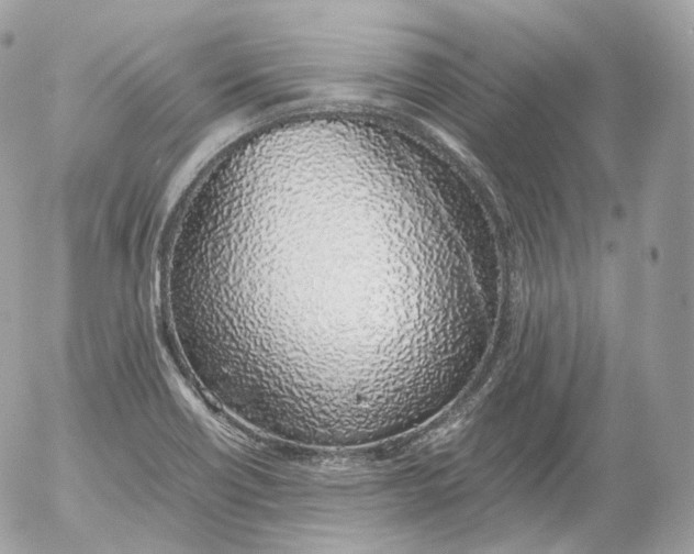 X0000052581418200507221532