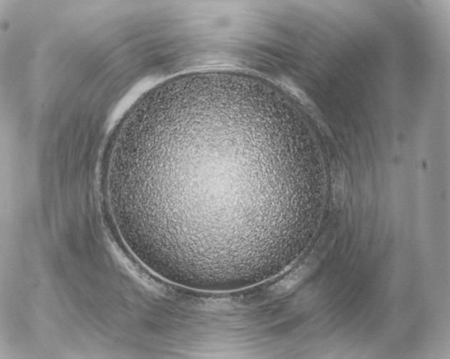 X0000052581422200507221532