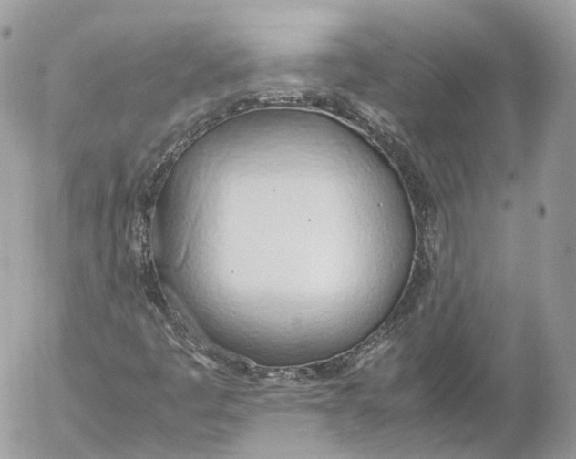 X0000052581445200507221531