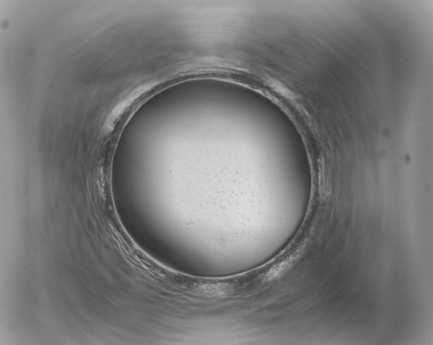 X0000052581453200507221531
