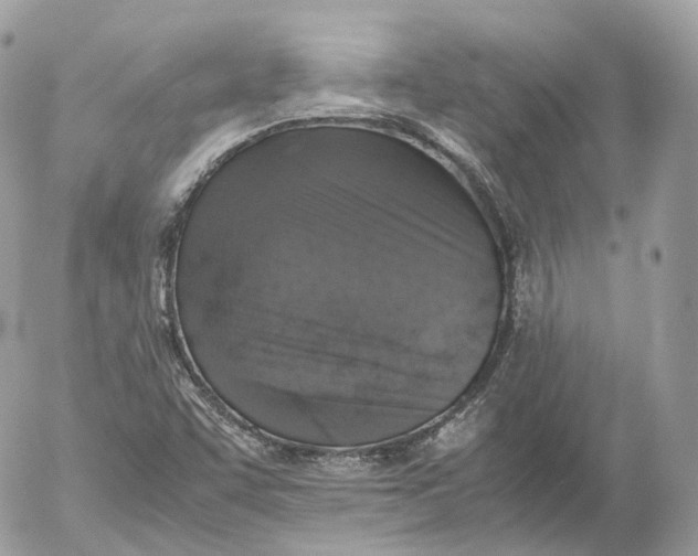 X0000052581455200507221531