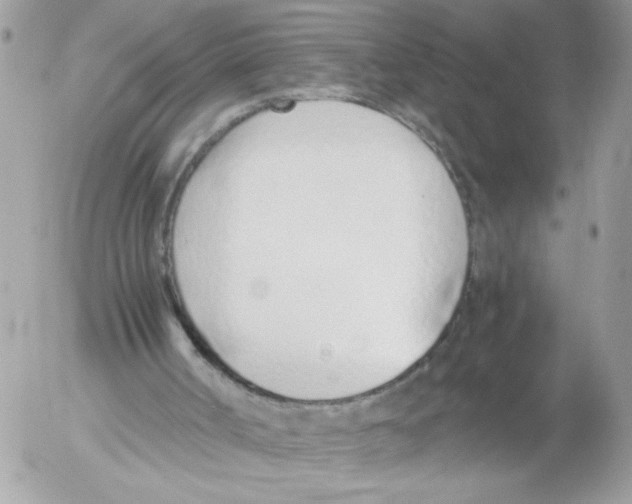 X0000052580002200507292044