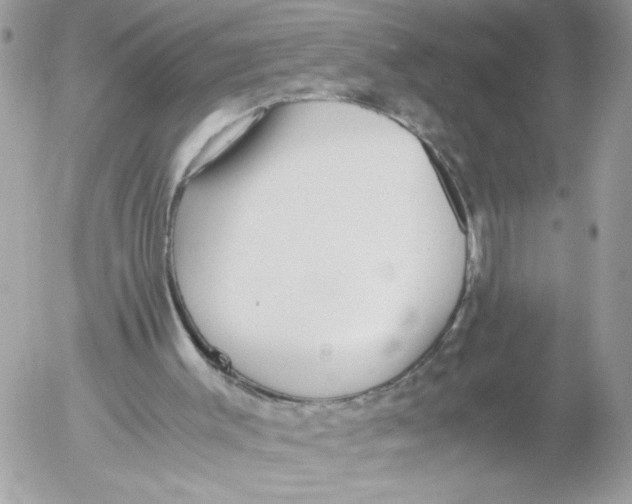 X0000052580003200507292044