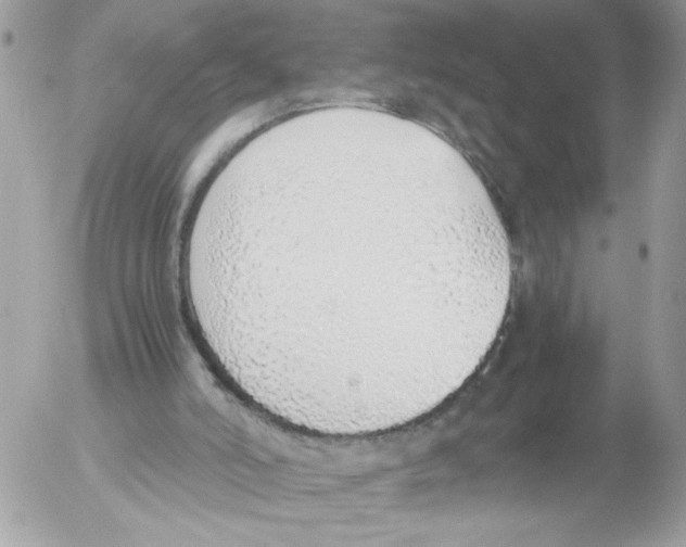 X0000052580006200507292044