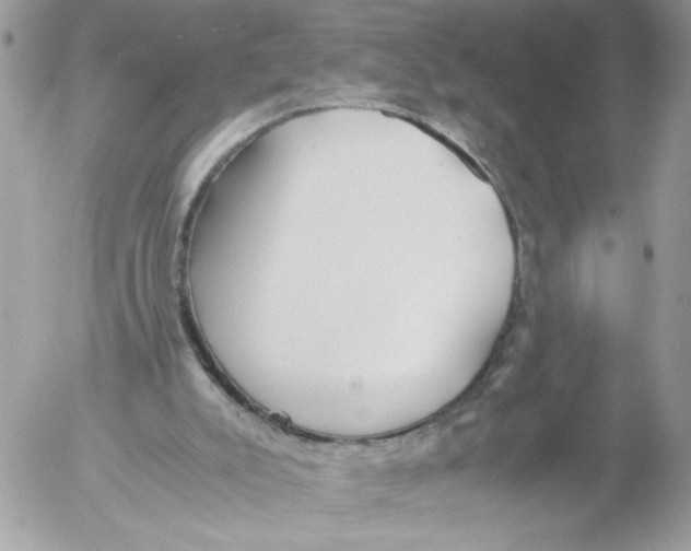 X0000052580007200507292044