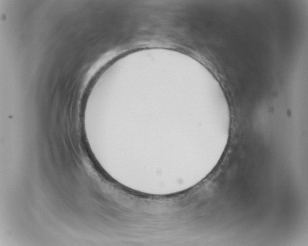 X0000052580008200507292044