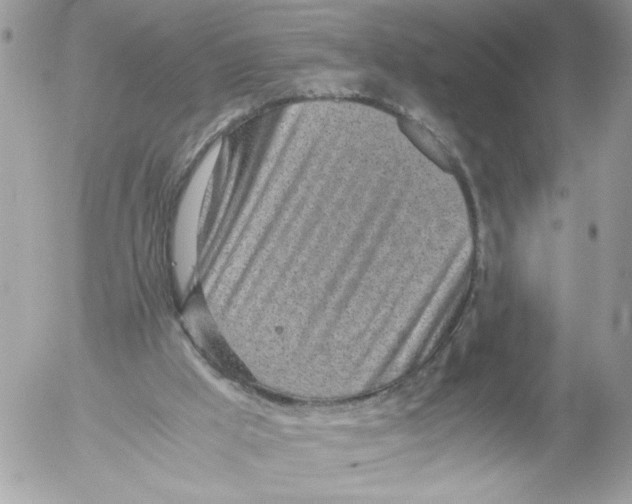 X0000052580009200507292044