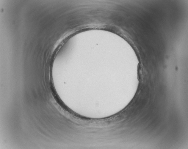 X0000052580011200507292043