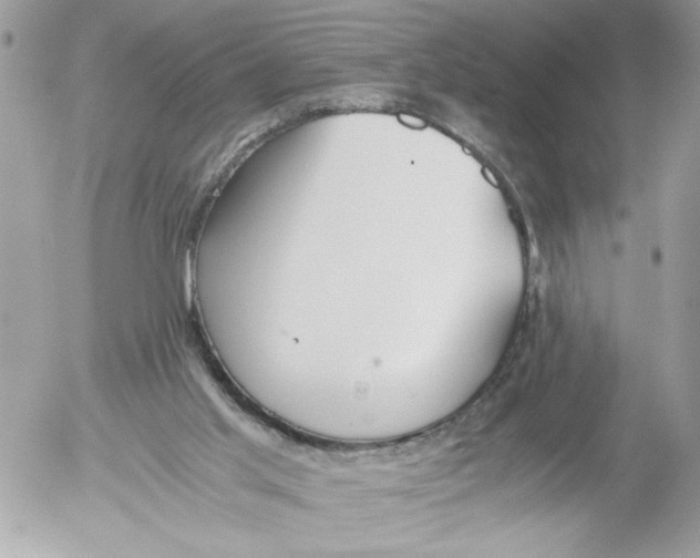 X0000052580013200507292043