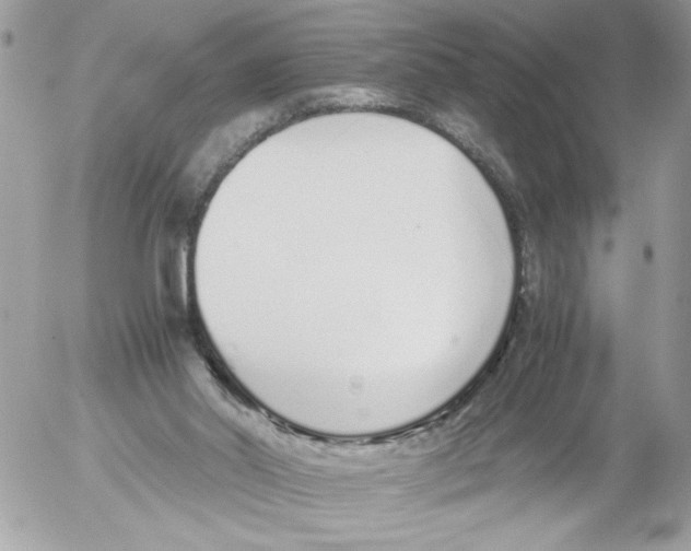 X0000052580014200507292043