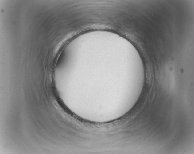 X0000052580015200507292043