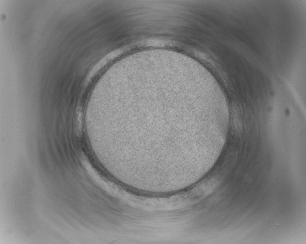 X0000052580016200507292043