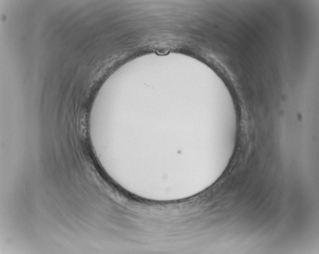 X0000052580017200507292043