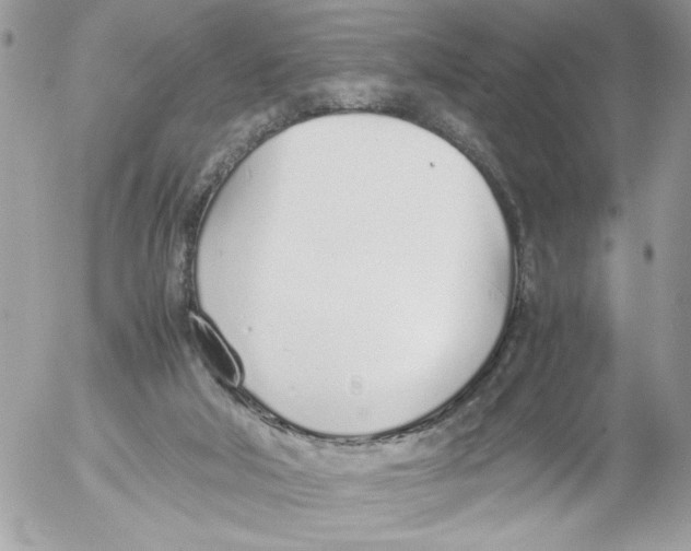 X0000052580018200507292043