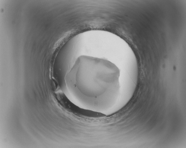 X0000052580019200507292043