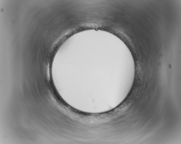 X0000052580020200507292043