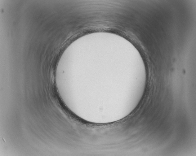 X0000052580021200507292043