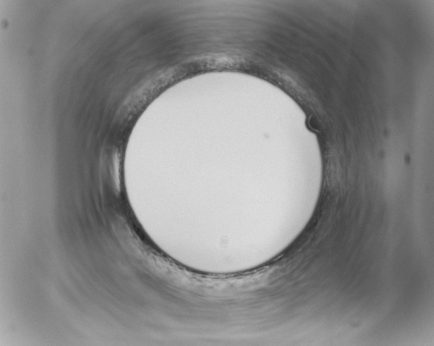 X0000052580022200507292043