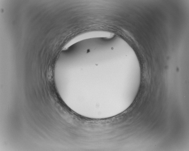 X0000052580025200507292043