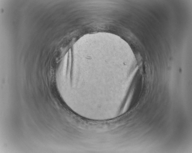 X0000052580029200507292043