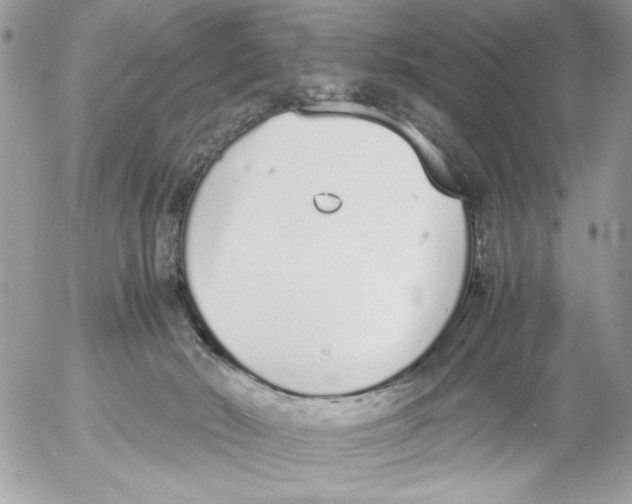 X0000052580030200507292043