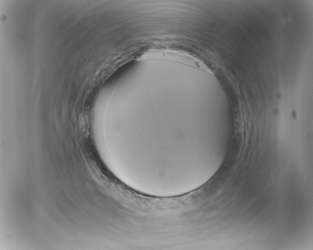 X0000052580031200507292043