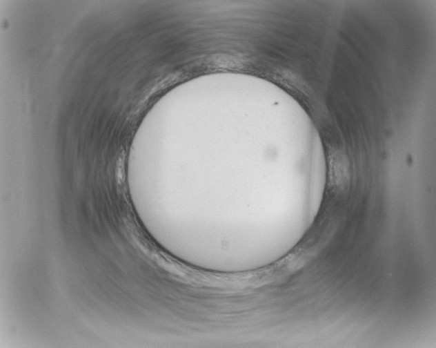 X0000052580032200507292043