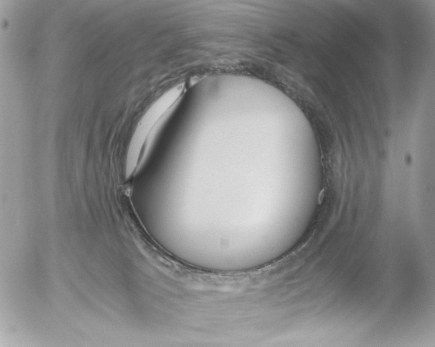 X0000052580033200507292043