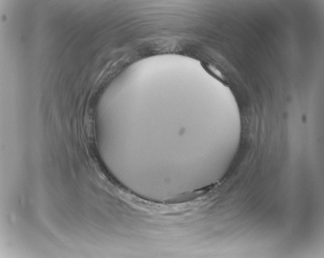 X0000052580035200507292043