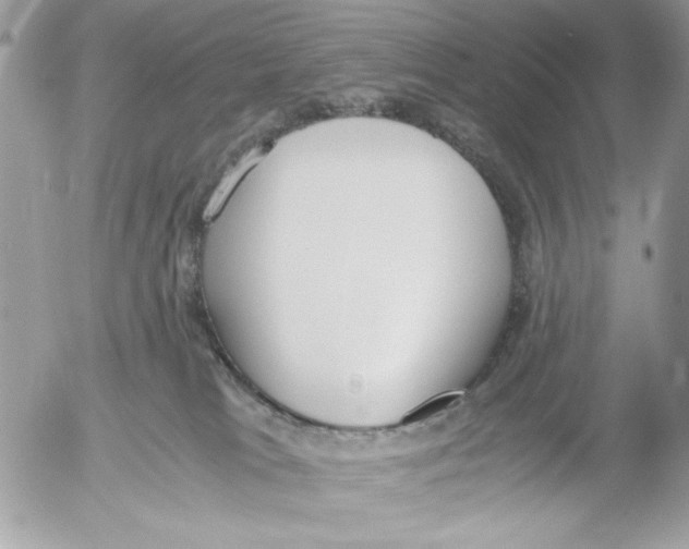 X0000052580037200507292043