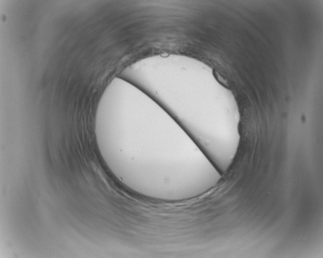 X0000052580040200507292043