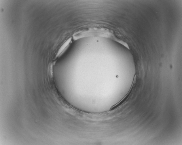 X0000052580041200507292043