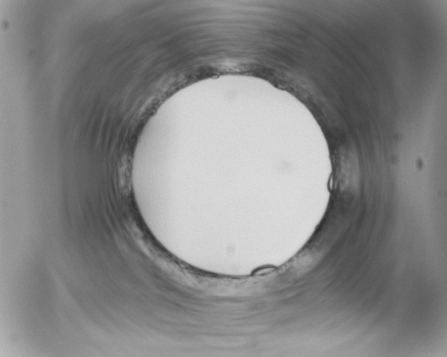 X0000052580044200507292043