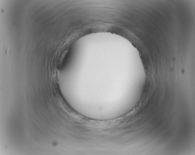 X0000052580045200507292043