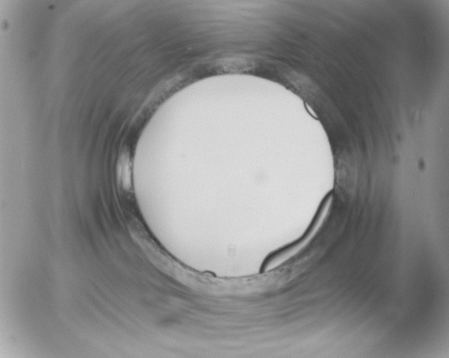 X0000052580046200507292043