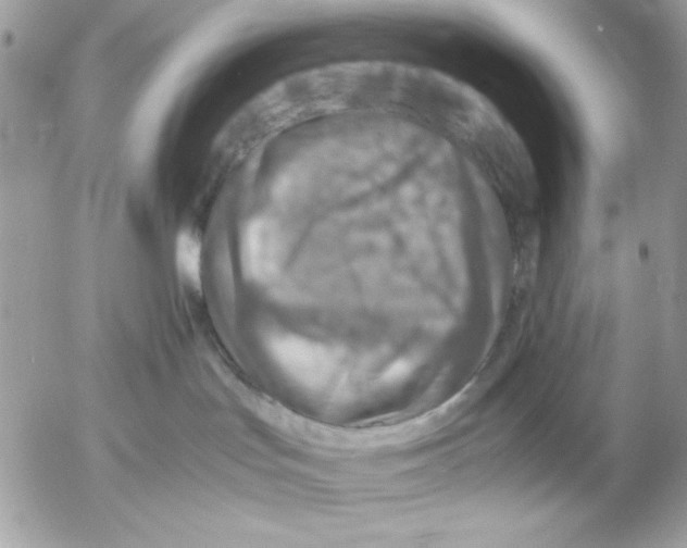 X0000052580047200507292043