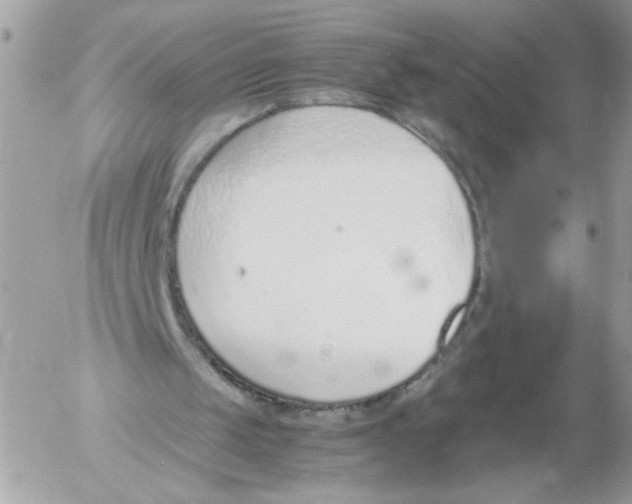 X0000052580049200507292042