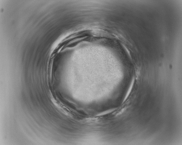 X0000052580052200507292042