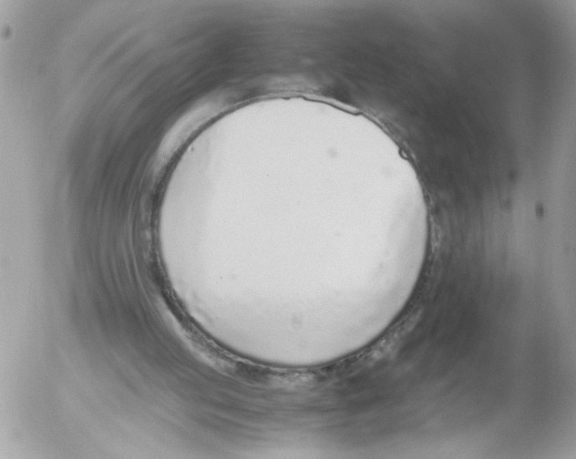 X0000052580053200507292042