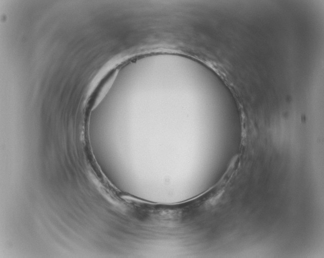 X0000052580056200507292042